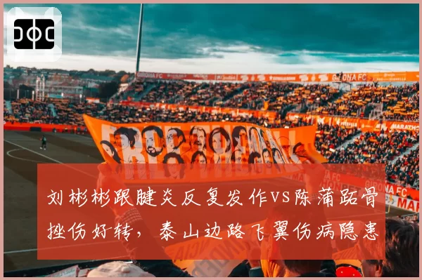 刘彬彬跟腱炎反复发作vs陈蒲跖骨挫伤好转，泰山边路飞翼伤病隐患程度对比