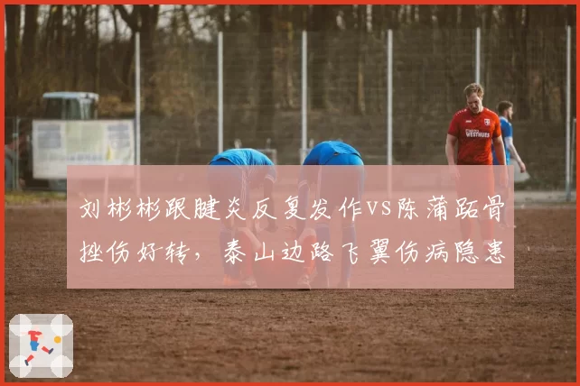 刘彬彬跟腱炎反复发作vs陈蒲跖骨挫伤好转，泰山边路飞翼伤病隐患程度对比