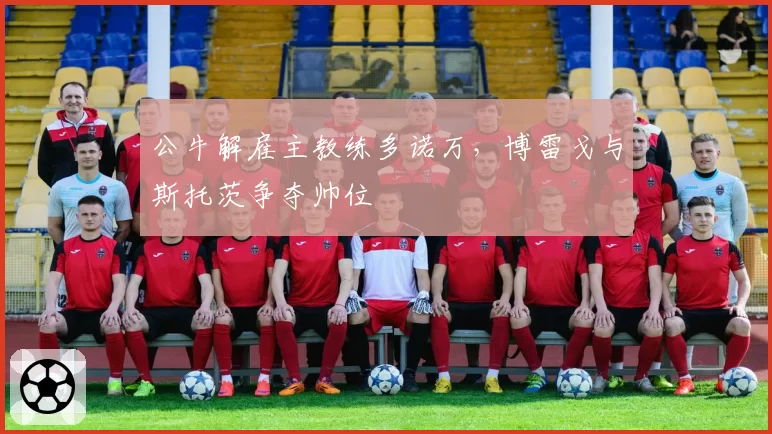 公牛解雇主教练多诺万,博雷戈与斯托茨争夺帅位